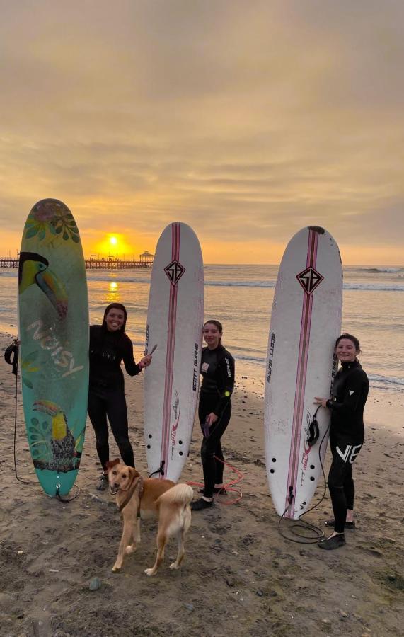 Totora Surf Hostel هوانتشاكو المظهر الخارجي الصورة